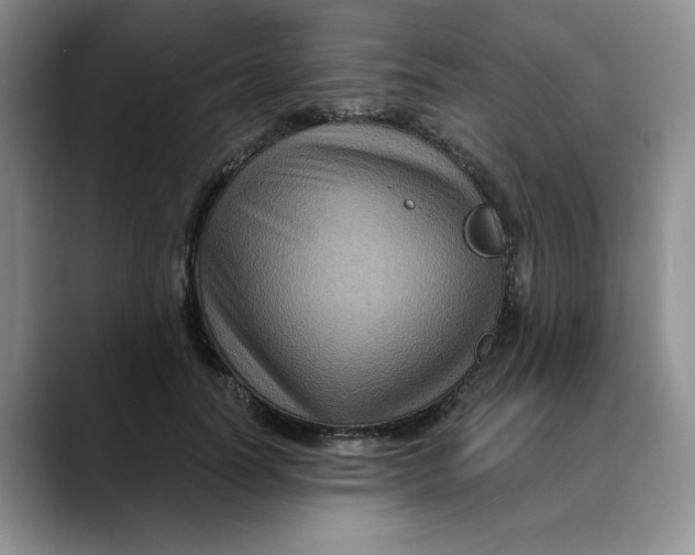 X0000088430746200706121450