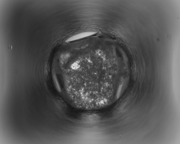 X0000088430747200706121450