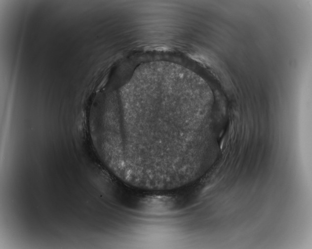 X0000088430748200706121450