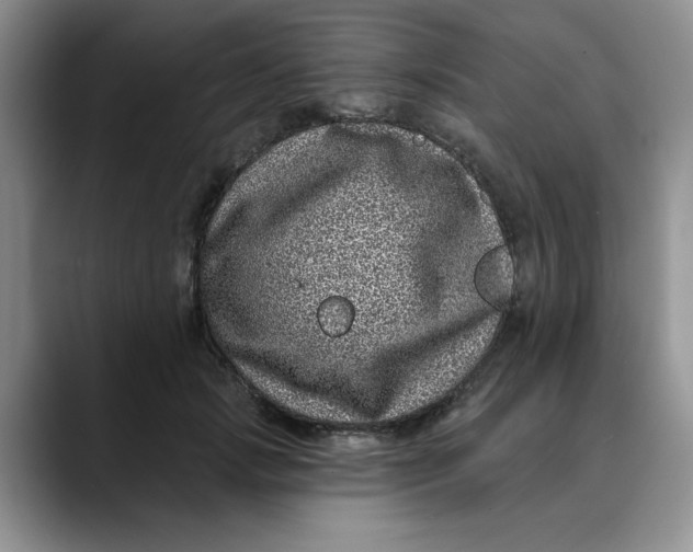 X0000088430749200706121450