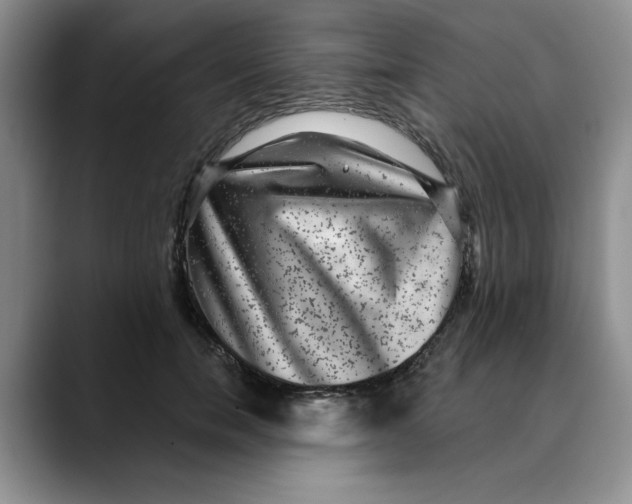 X0000088430750200706121450