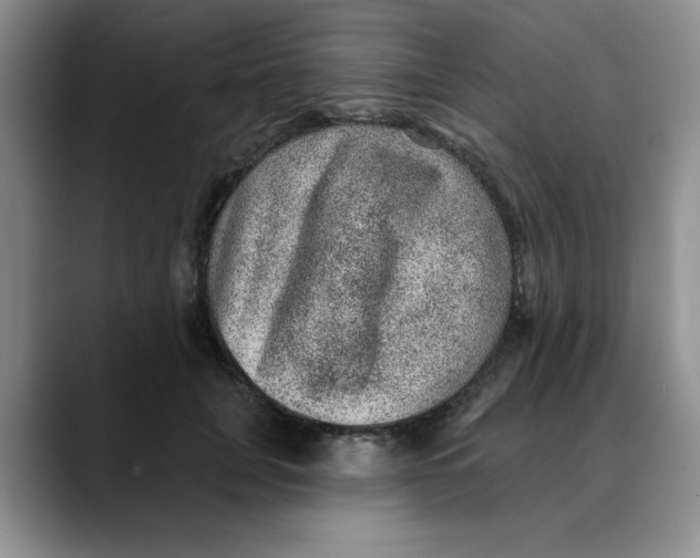 X0000088430751200706121450