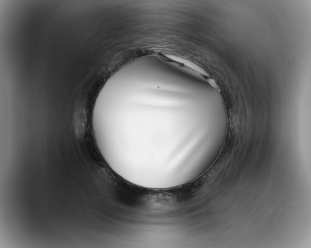 X0000088430752200706121450