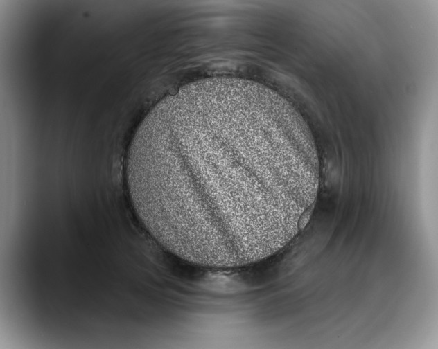 X0000088430753200706121450