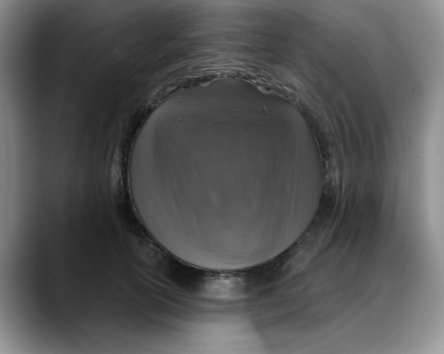 X0000088430754200706121450