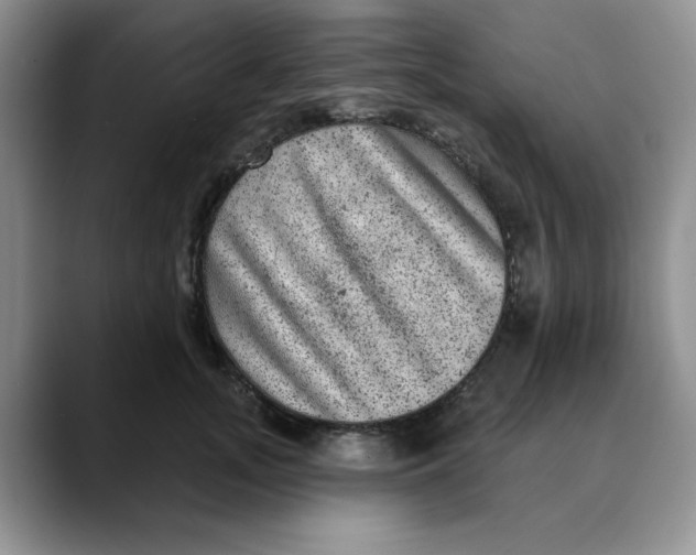 X0000088430755200706121450