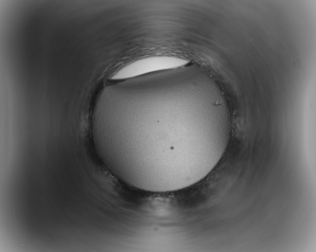 X0000088430756200706121450