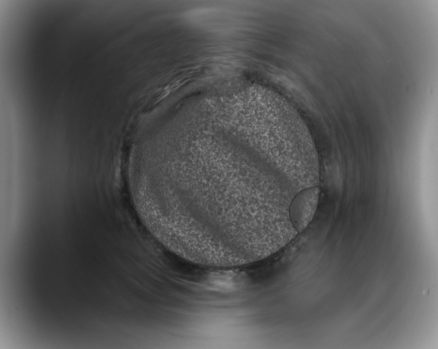 X0000088430757200706121450