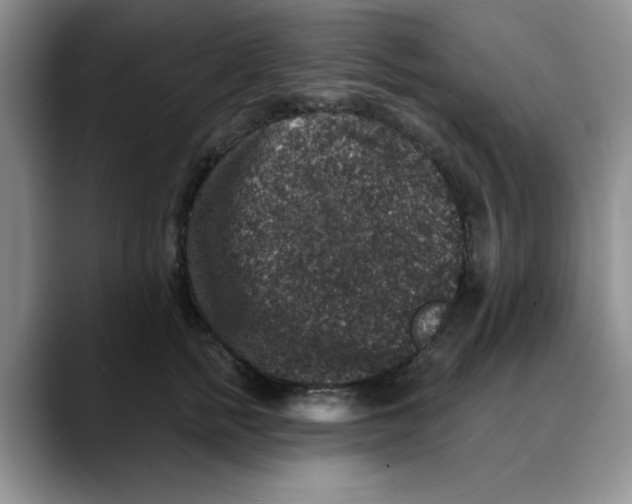 X0000088430758200706121450