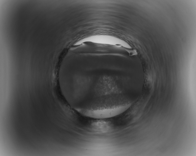 X0000088430759200706121450