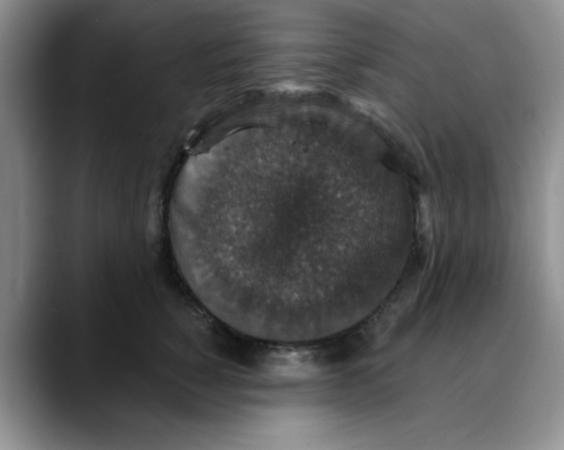 X0000088430760200706121450