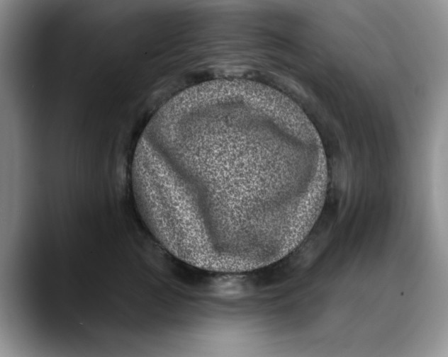 X0000088430761200706121450