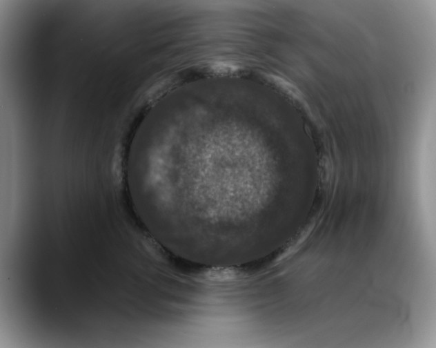 X0000088430762200706121450