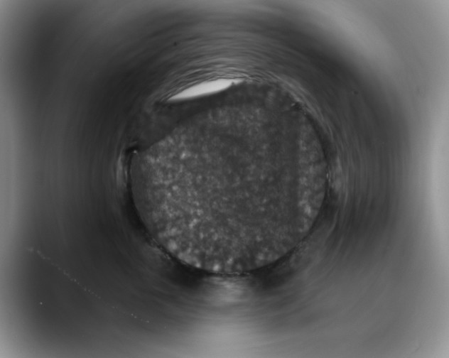 X0000088430763200706121450