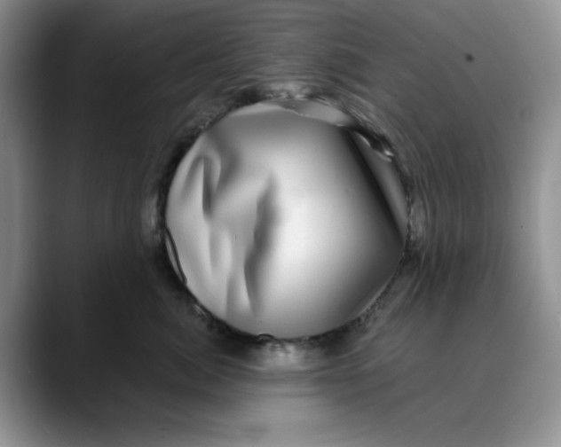 X0000088430764200706121450