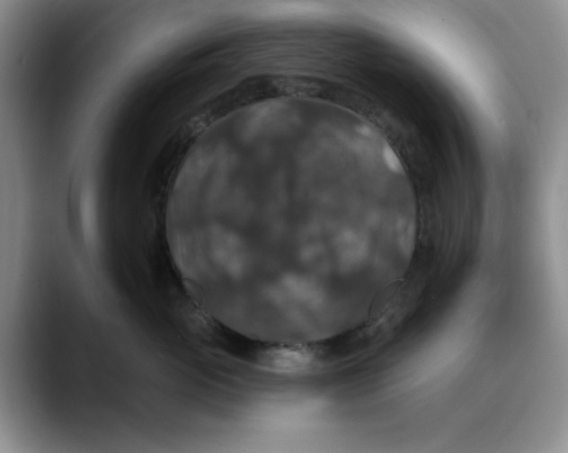 X0000088430765200706121450