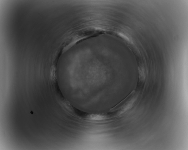 X0000088430766200706121450