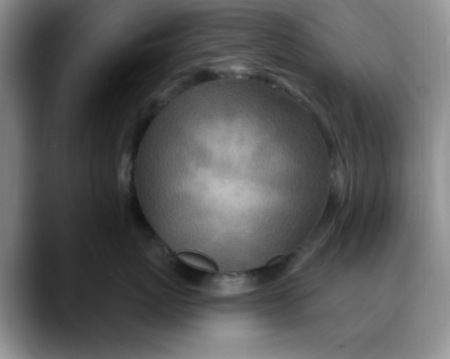 X0000088430767200706121450