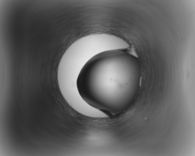 X0000088430768200706121450