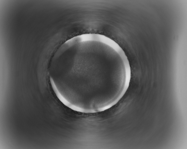 X0000088430769200706121450