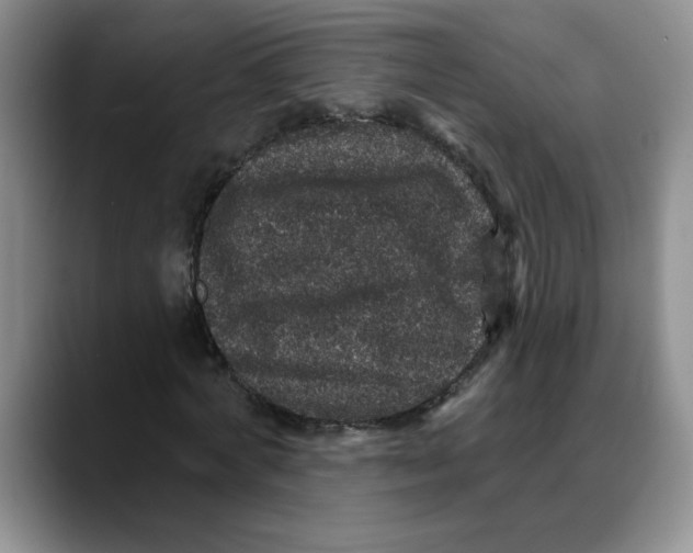 X0000088430772200706121450