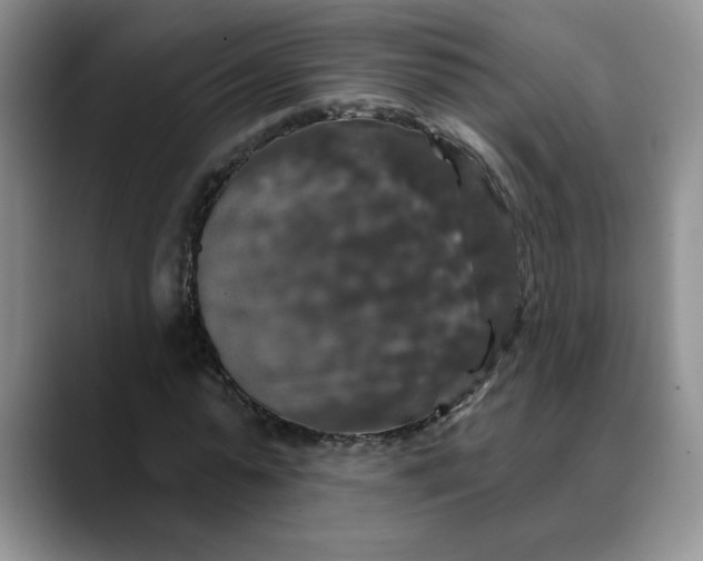 X0000088430775200706121450