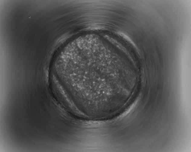 X0000088430777200706121450