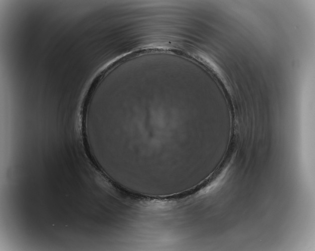 X0000088430779200706121450