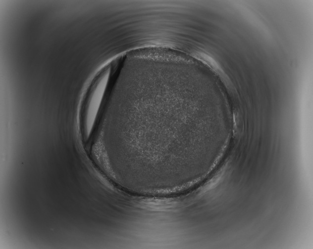 X0000088430780200706121450