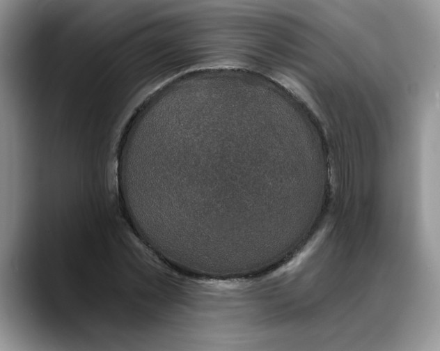 X0000088430781200706121450