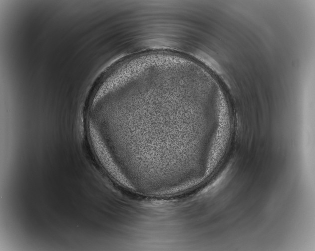 X0000088430782200706121450