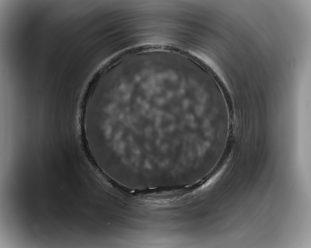 X0000088430783200706121450