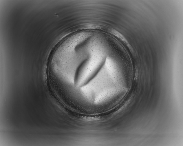 X0000088430786200706121450