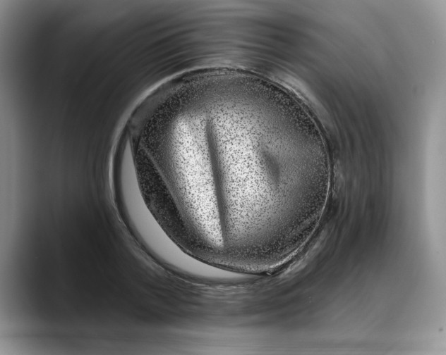 X0000088430788200706121450