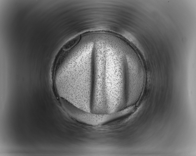 X0000088430789200706121450