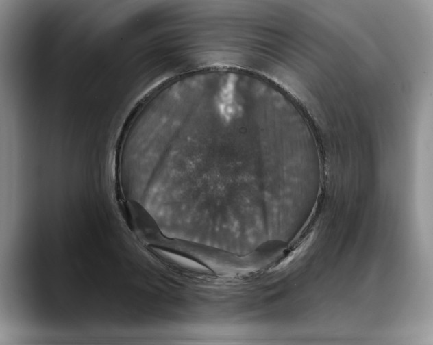 X0000088430790200706121450