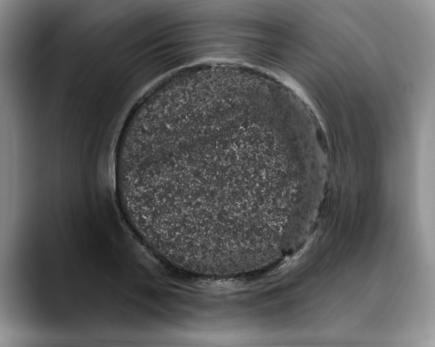 X0000088430791200706121450