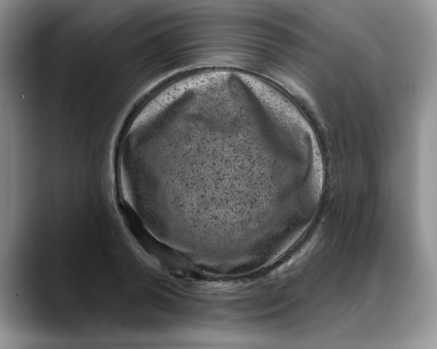 X0000088430792200706121450