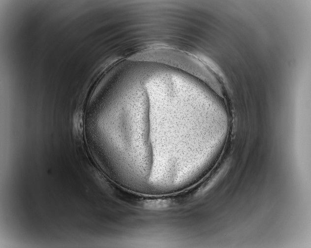 X0000088430793200706121450