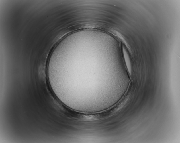 X0000088430794200706121450