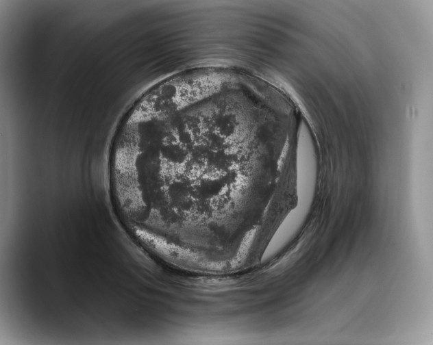 X0000088430795200706121449