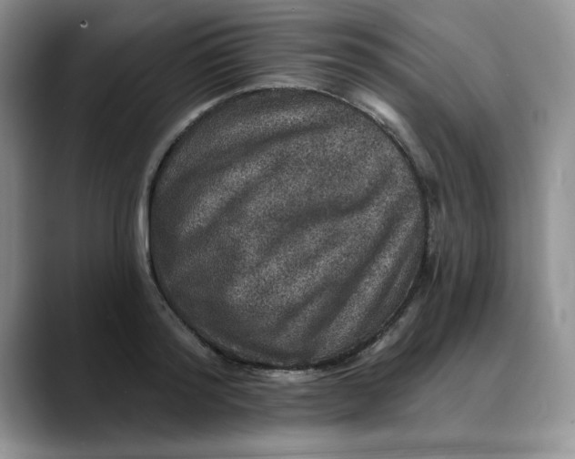 X0000088430796200706121449