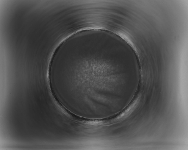 X0000088430797200706121449