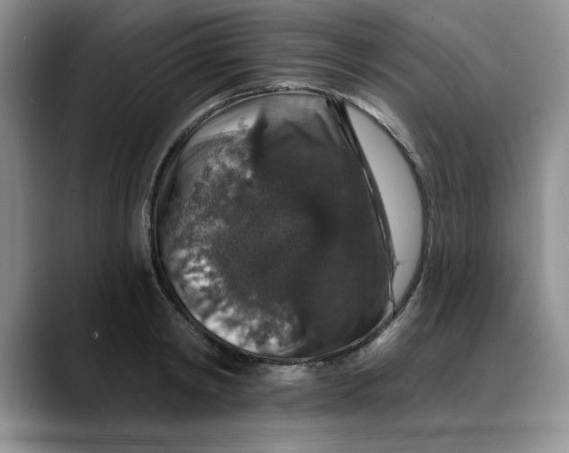 X0000088430798200706121449