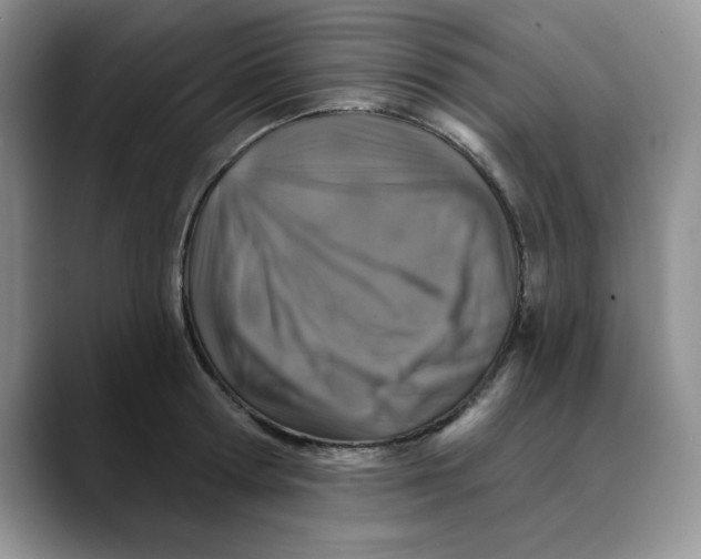 X0000088430802200706121449