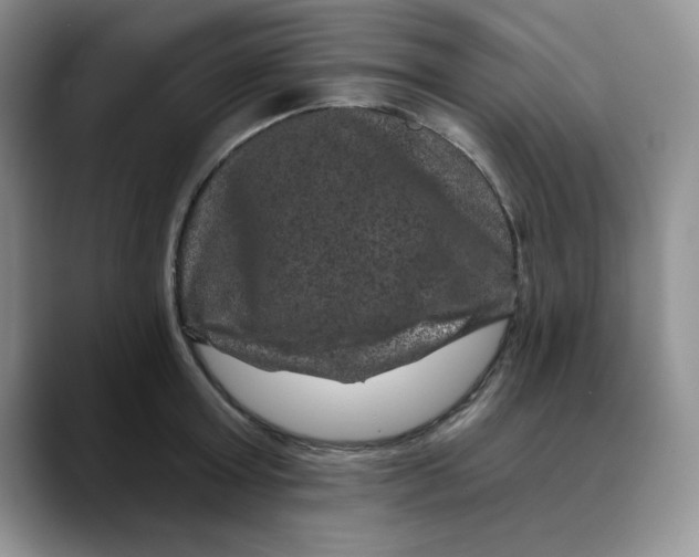 X0000088430803200706121449