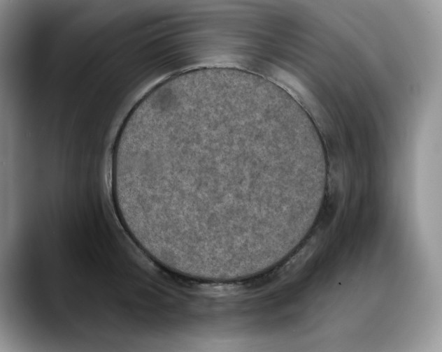 X0000088430804200706121449