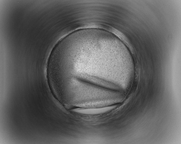 X0000088430805200706121449