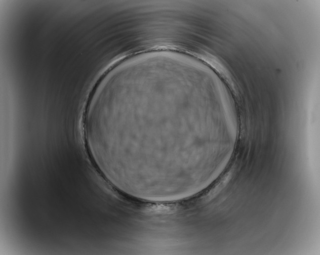 X0000088430806200706121449