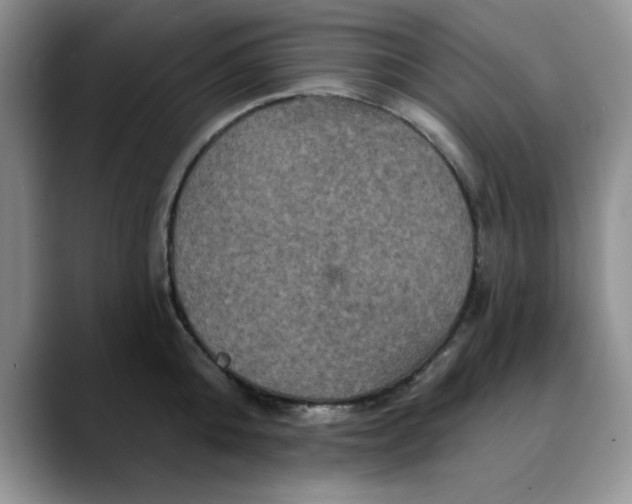 X0000088430808200706121449